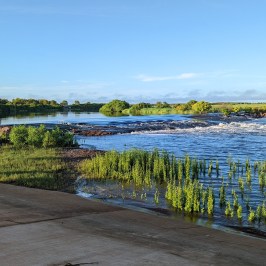 a bridge over a body of water