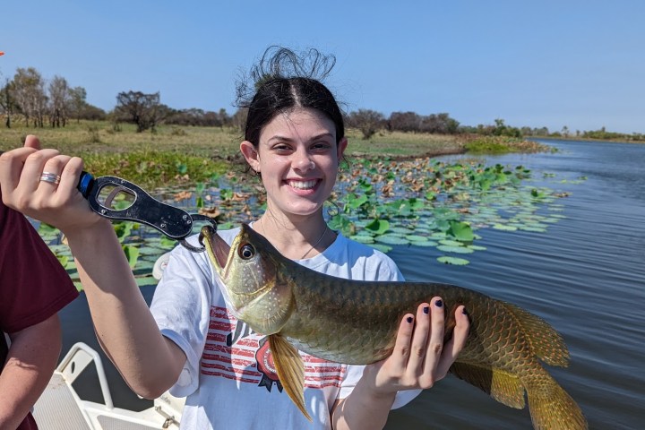 a person holding a fish in the water