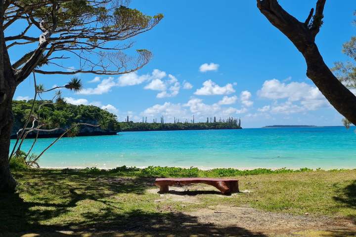 Tropical beach with turquoise water, trees, and a bench on the shore.