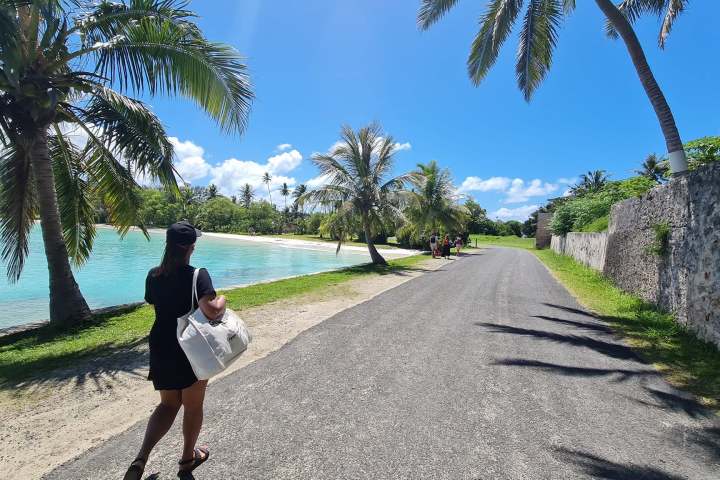 Person walking on a path by the beach with palm trees and blue sky.