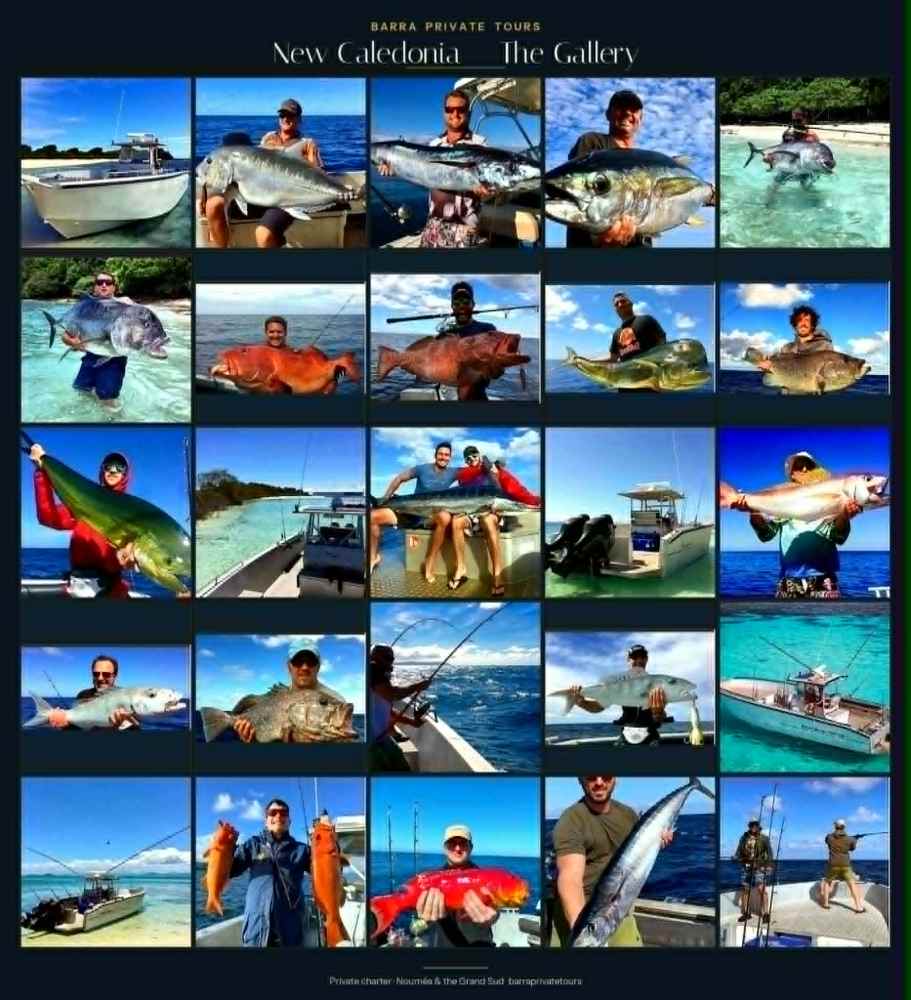 Collage of people fishing on boats with various large fish in New Caledonia.