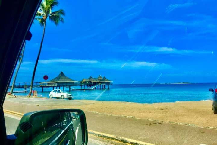 Beach view with blue sea, sky, palm tree, huts, and cars along the road.