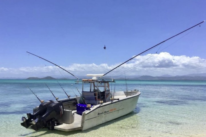 Fishing boat with rods anchored on clear beach